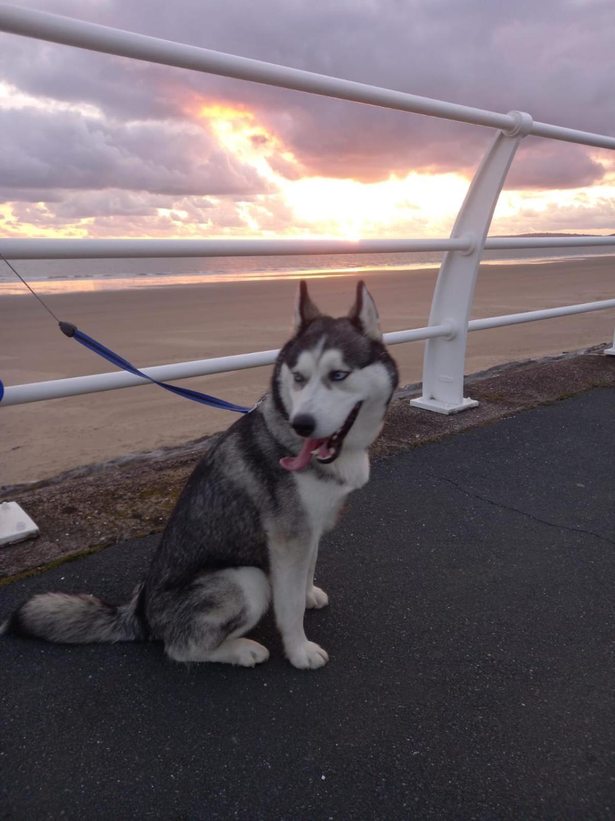 Driftmark Beachfront Location Aberavon Beach Sea Views Large Driveway Parking Private Site Fibre Optic Wi Fi Port Talbot Exterior foto